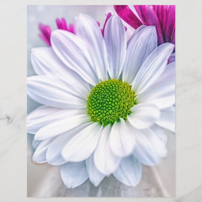 White Daisy Scrapbook (Frente)