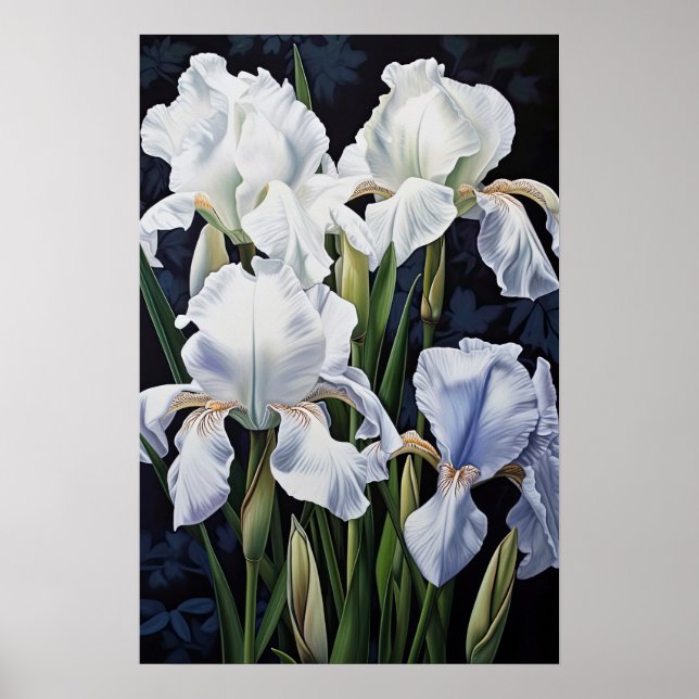White Irisa Impressão de Arte Flor Poster (Frente)