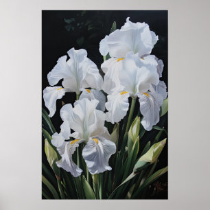 White Irisa Impressão de Arte Flor Poster