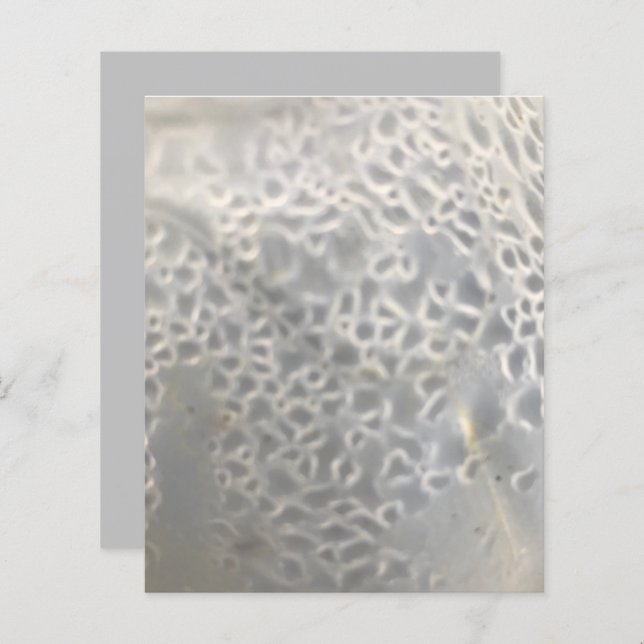 White Light Cinza Bubbles Web Scrapbook Paper (Frente/Verso)