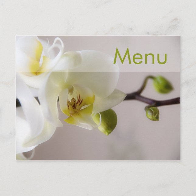 White Orchid ・ Cartão-postal do menu (Frente)