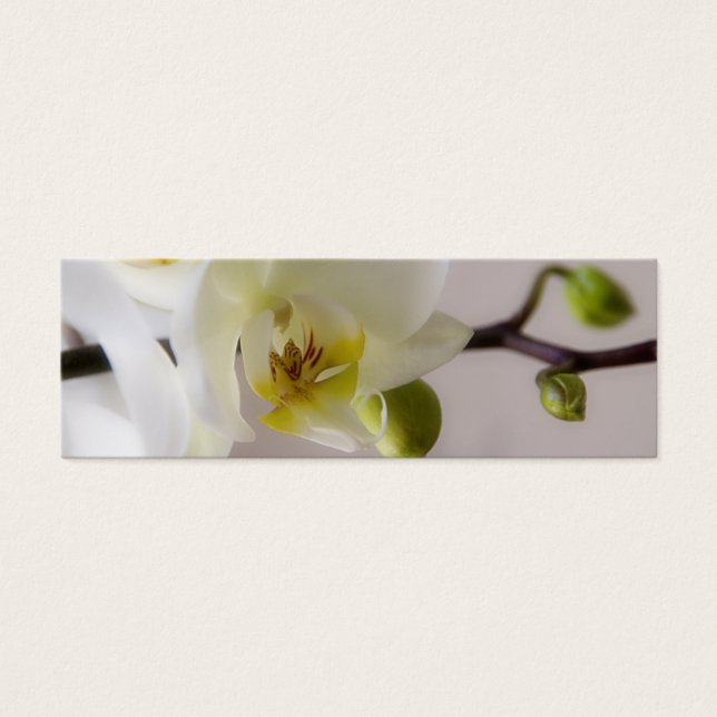 White Orchid ・ Salve a miniplaca de data (Frente)