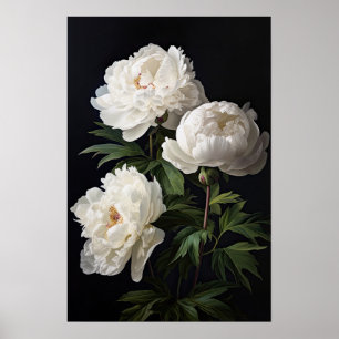 White Peony Flowers Art Impressão Poster