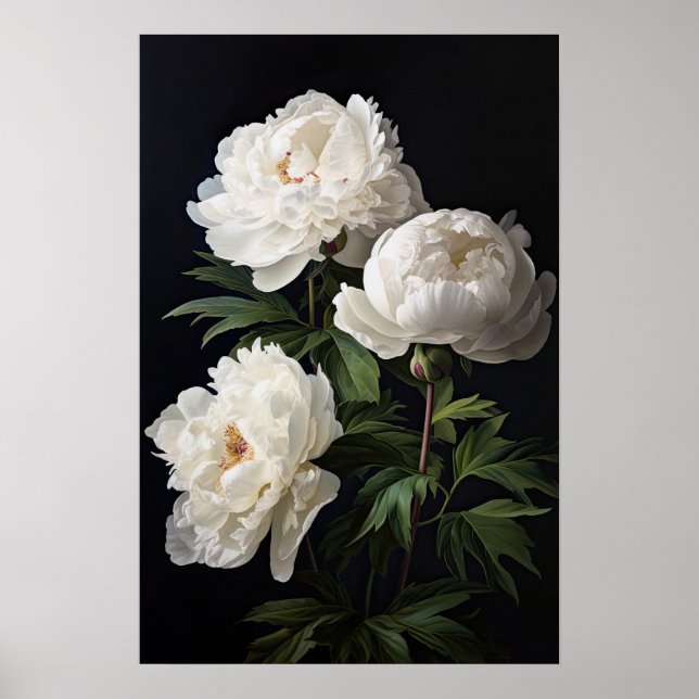 White Peony Flowers Art Impressão Poster (Frente)