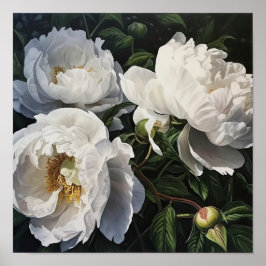 White Peony Flowers Art Impressão Poster