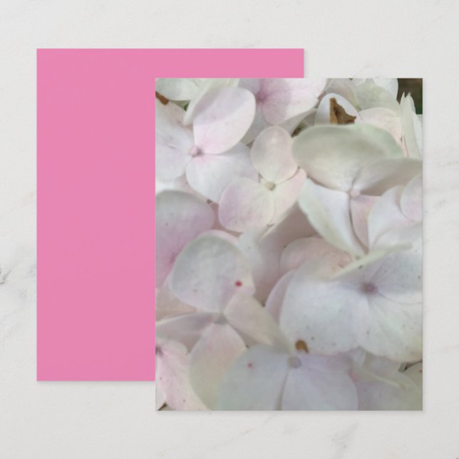 White Pink Hydrangea Blossomas Livro (Frente/Verso)