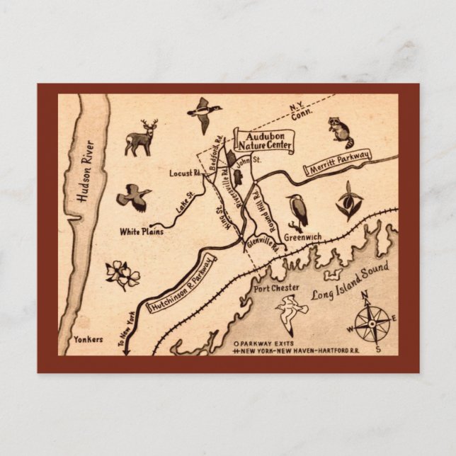 White Plains NY Cartão Postal Antigo  (Frente)