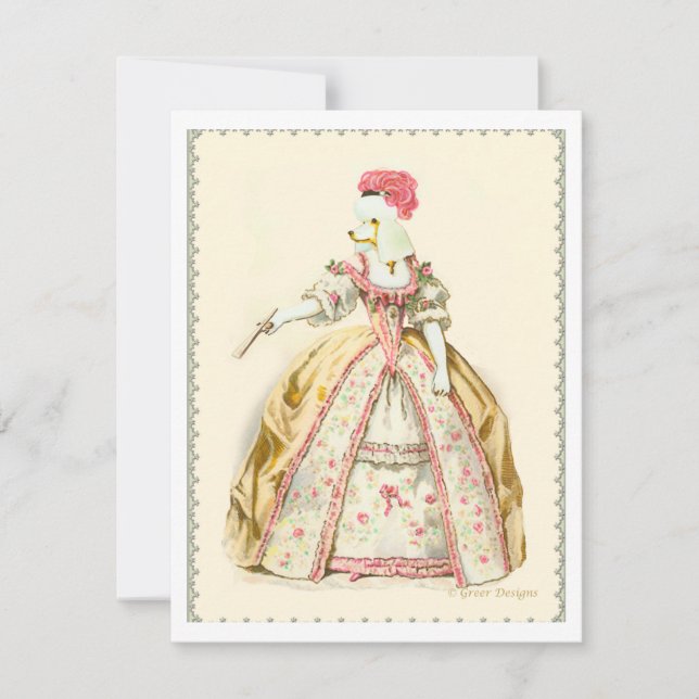 White Poodle Marie Antoinette French Fashion (Frente)