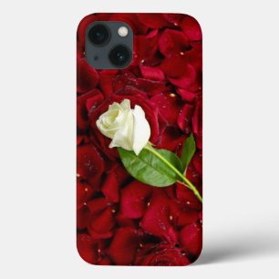 White Rose On Red Petals