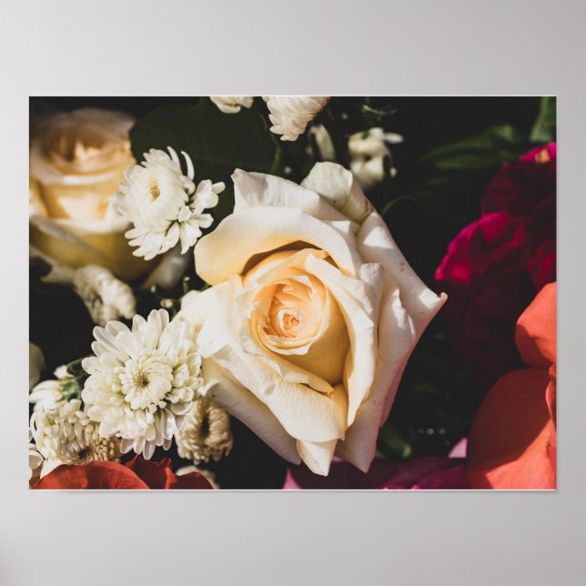 White Rose Photography Poster (Frente)