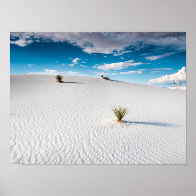 White Sands Blue Sky Yucca, Nova Poster do México (Frente)