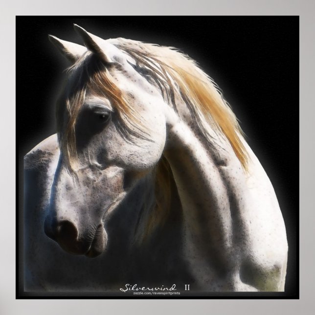 White Spirit Stallion Equine Art Poster (Frente)