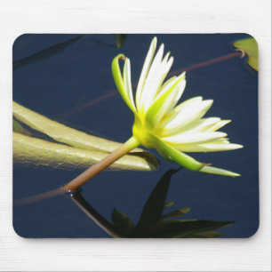 white waterlily mousepad