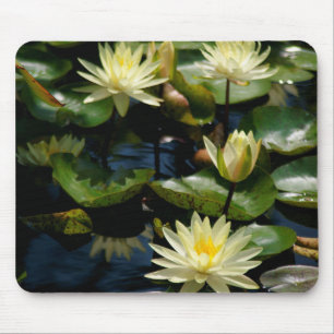 white waterlily mousepad