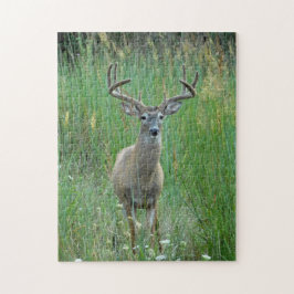 Whitetail Buck Quebra-cabeça