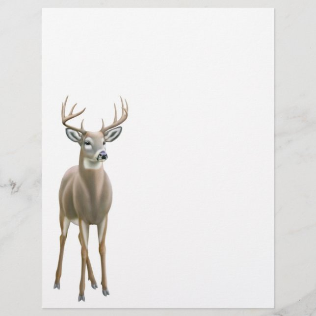 Whitetail Deer Buck Letterhead (Frente)