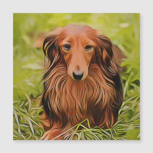 Wiener Brown Dachshund Na Grama No Jardim Xmas