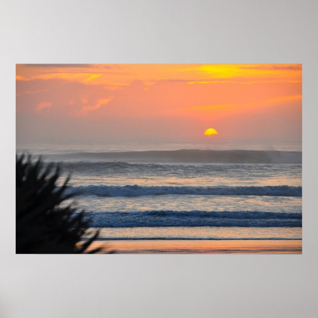 Wilbur perto do Sea Palm Sunrise na Flórida Poster (Frente)