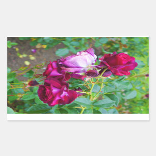 Wild Blue Yonder aumentou as etiquetas #1-2