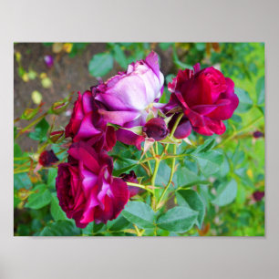 Wild Blue Yonder aumentou o poster #1