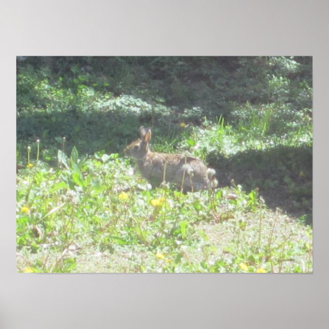 Wild Bunny Impressão (Frente)