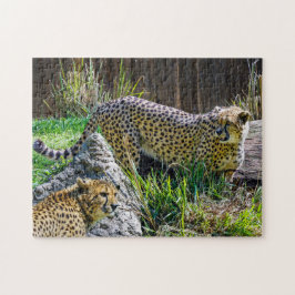 Wild Cheetah Toy Jigsee Quebra-cabeça