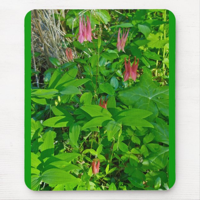Wild Columbine Mousepad (Frente)