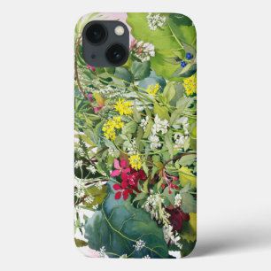 Wild Flowers with Comfrey and Campion
