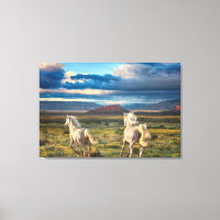 WILD HORSES "Live to Run" Canvas Print