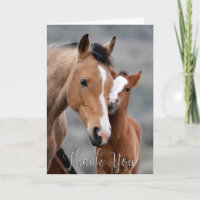 Wild Mare e Foto Cartões de agradecimentos