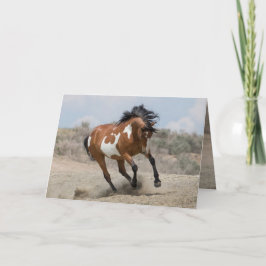 Wild Mare Executa Cartão de Saudação