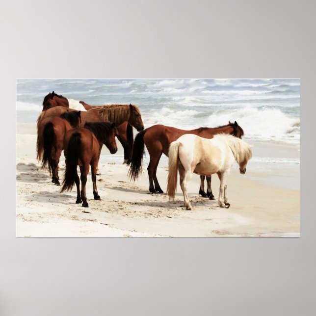 Wild Ponies Poster (Frente)