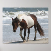 Wild Pony Poster Impressão