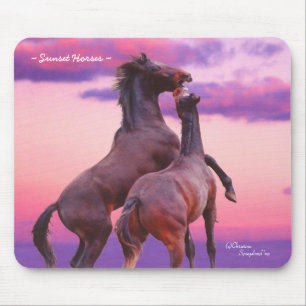 Wild Rearing Stallions Horses Sunrise Mousepad