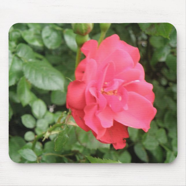 Wild Rosa Mousepad (Frente)