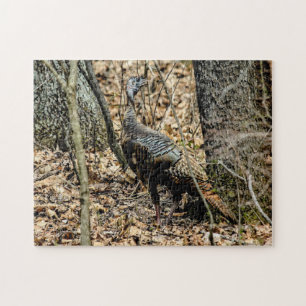 Wild Turkey em Woods Photo Quebra-cabeça com Gift
