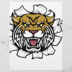 Wildcat Segurando Cricket Ball Quebrando Fundo