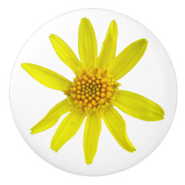 Wildflower amarelo botânico da arnica em alguma