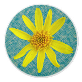 Wildflower amarelo fresco botânico em alguma cor