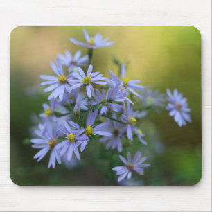 Wildflower floral Mousepad dos ásteres roxos do