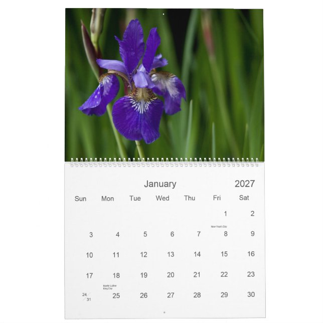 Wildflowers do calendário de Europa 2010 (Jan 2027)