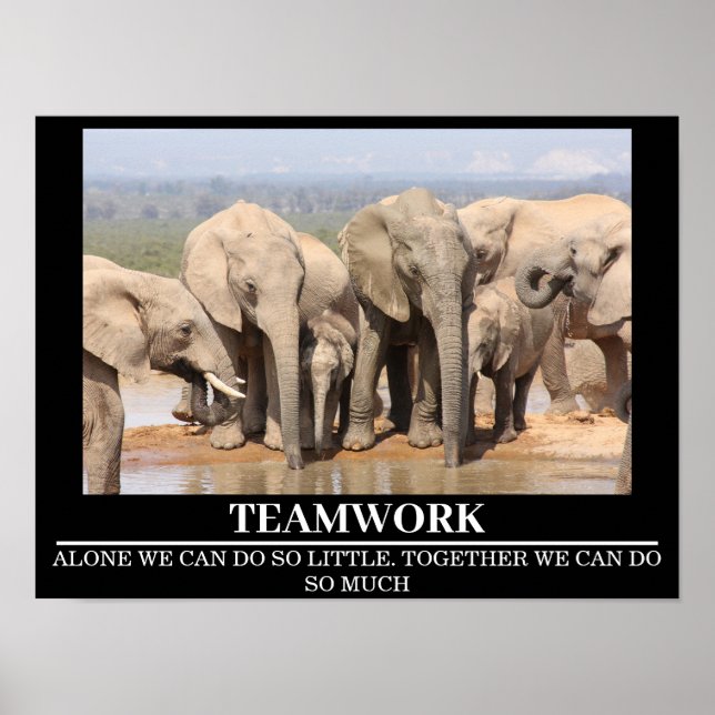 Wildlife Motivational Poster Elephant Trabalho em  (Frente)