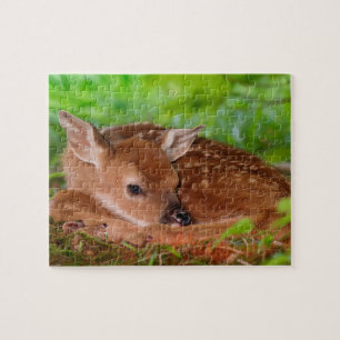 Wildlife Quebra-cabeça Fawn