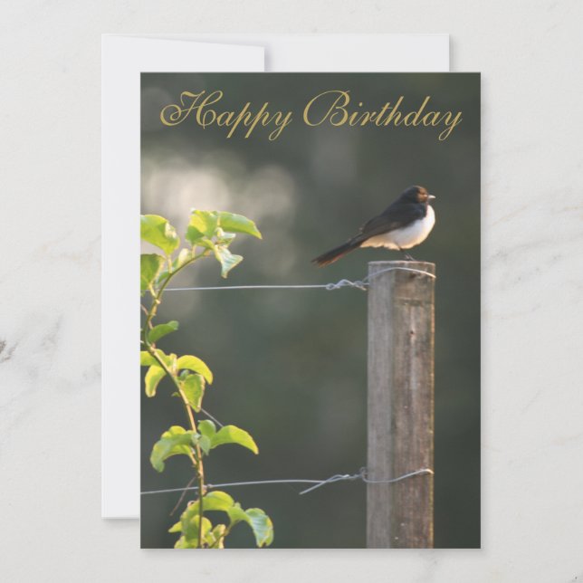 Willie Wagtail Happy Birthday (Frente)