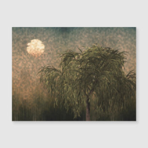 Willow no Sunset