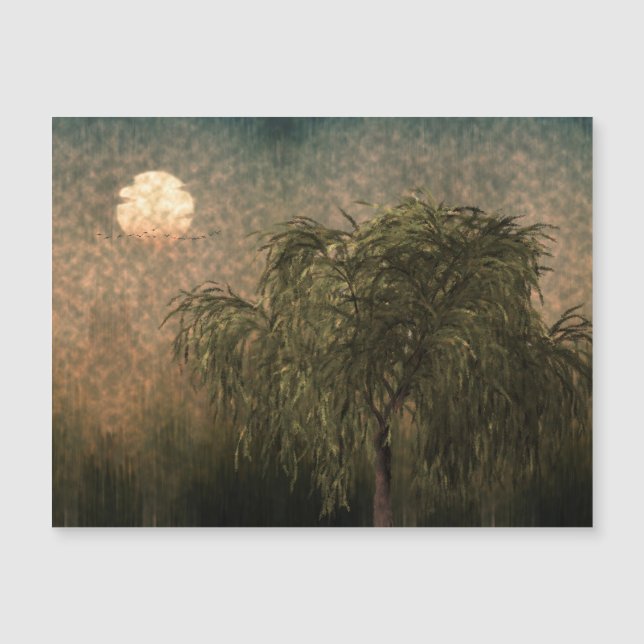 Willow no Sunset (Frente)