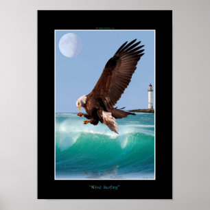 WIND SURFING Bald Eagle Art Poster