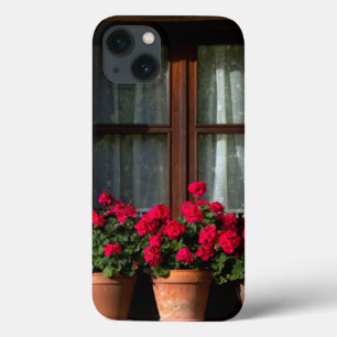 Window flower pots in village