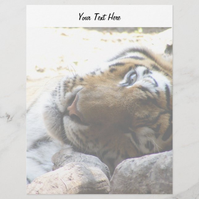 Winking Tiger (Frente)