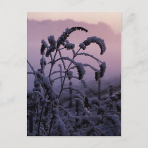 Winter, Norfolk, Inglaterra - Cartão postal